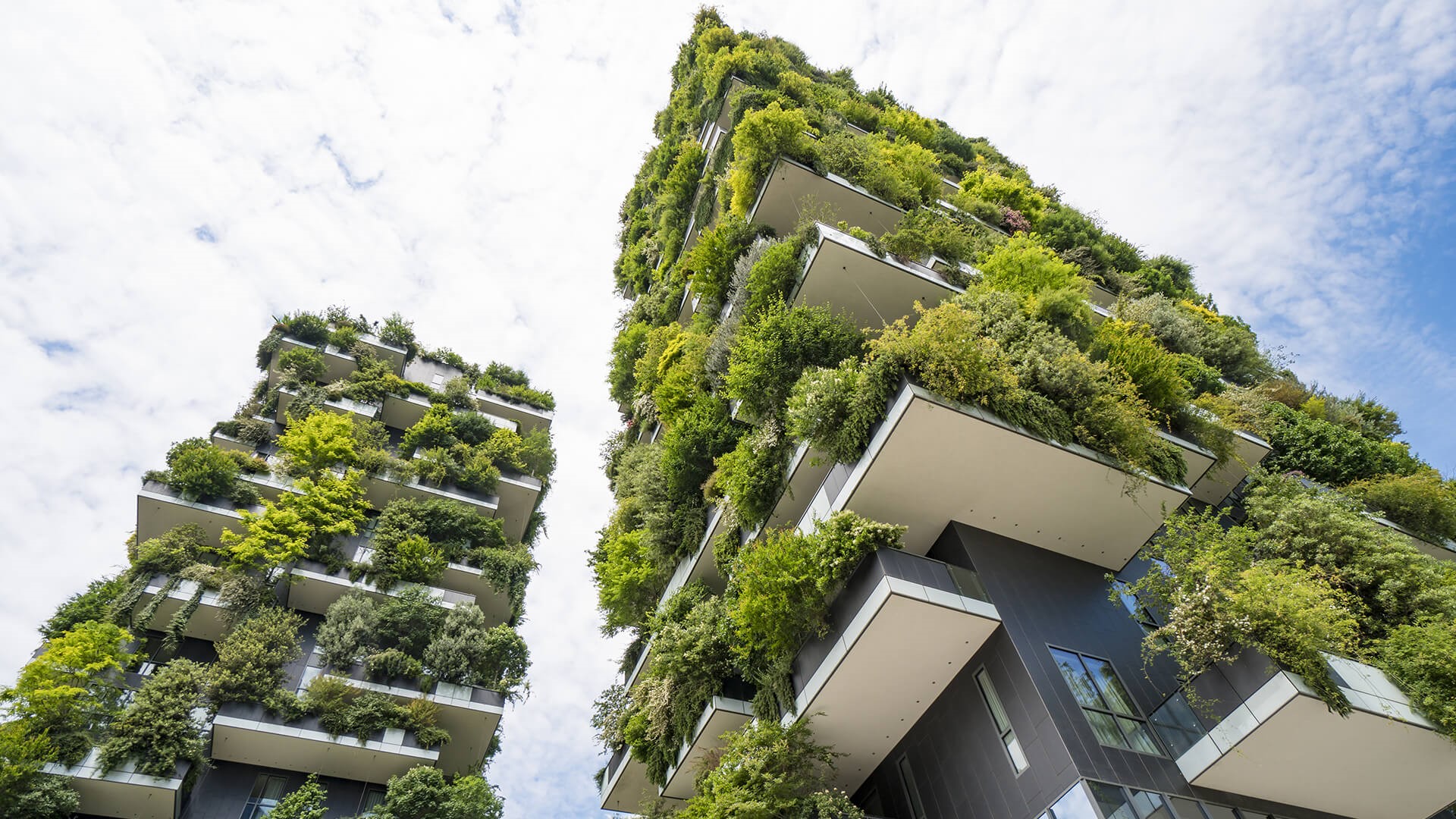 Green Architecture House