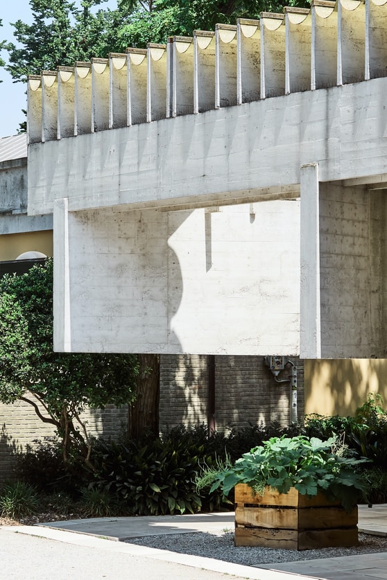 Venice Biennale